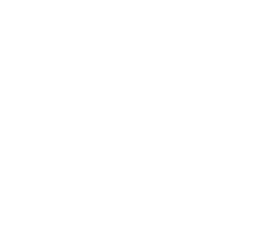 PF DEVELOPMENT LLC